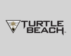 Turtle Beach